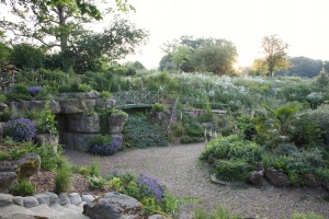 Danesbury Fernery