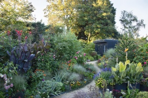 Exotic Garden, Surrey