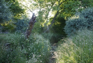 Pickersdane, Kent