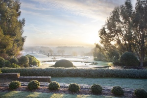 Ichi Coo Park, Surrey