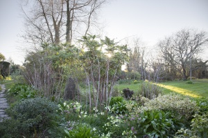 Goddards Green Garden